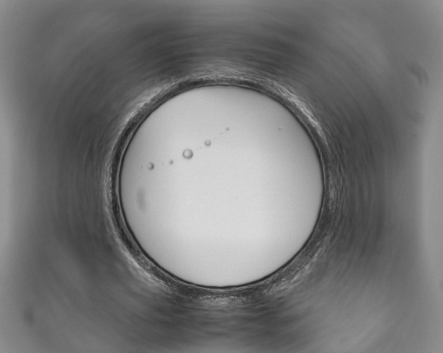 X0000111210629200907011051