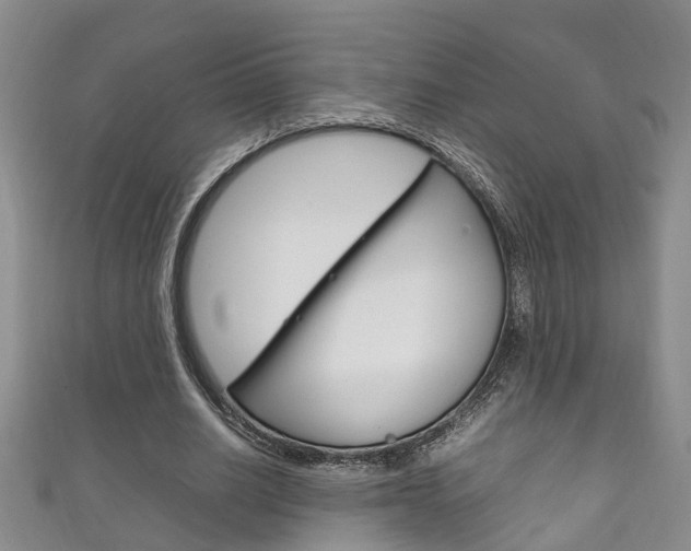 X0000111210630200907011052