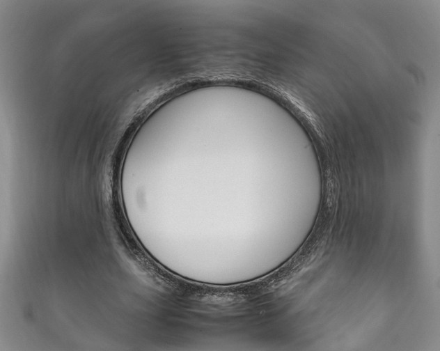 X0000111210631200907011052