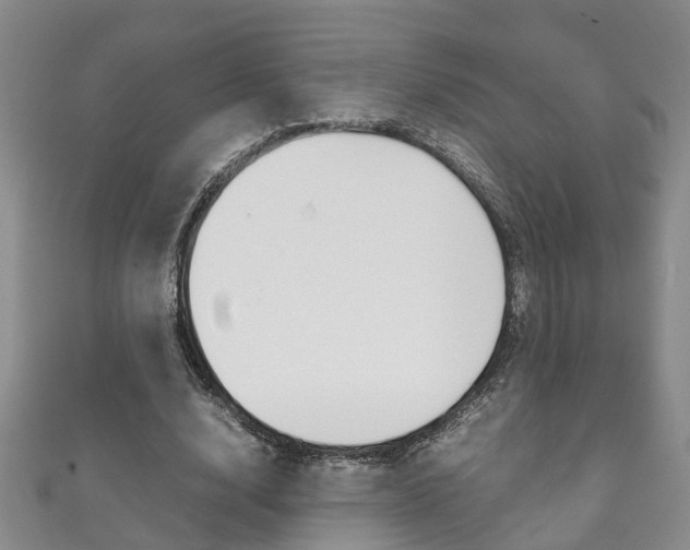 X0000111210632200907011052