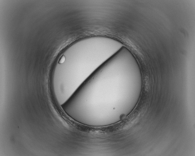 X0000111210634200907011052