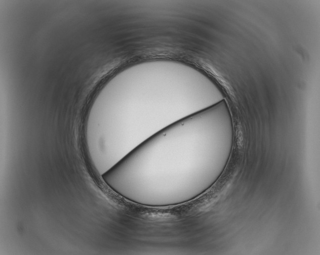 X0000111210637200907011052