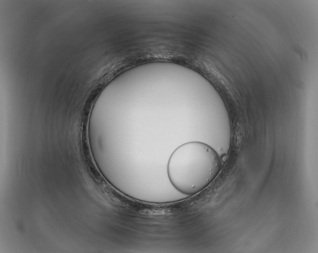X0000111210639200907011052