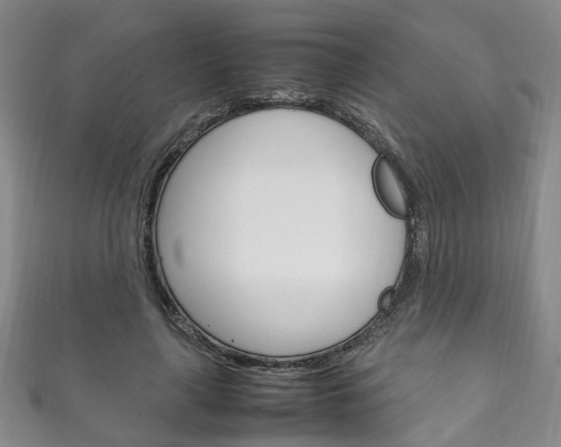 X0000111210643200907011052