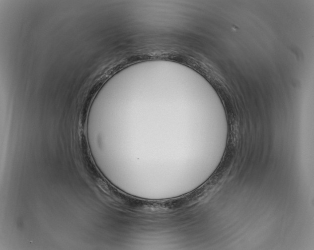 X0000111210644200907011052