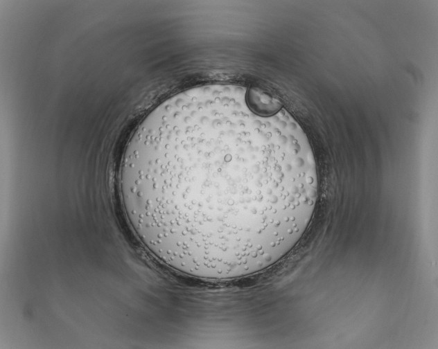 X0000111210646200907011052