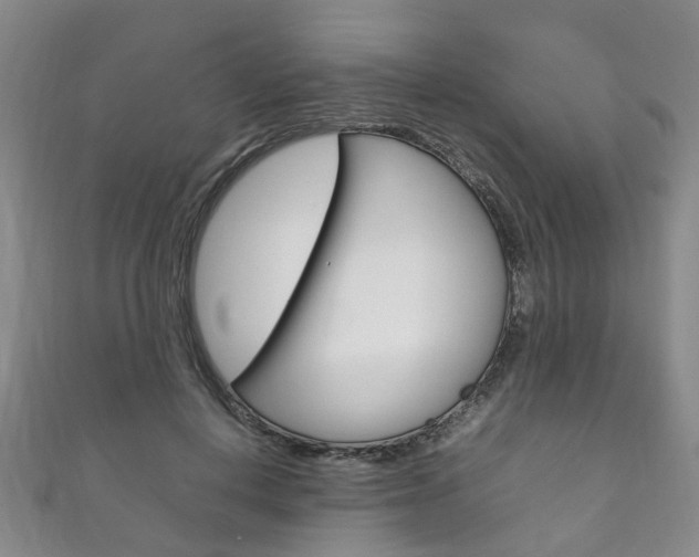 X0000111210648200907011052