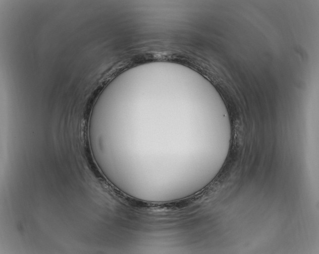 X0000111210650200907011052