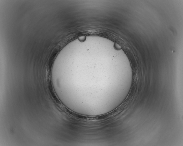 X0000111210651200907011052