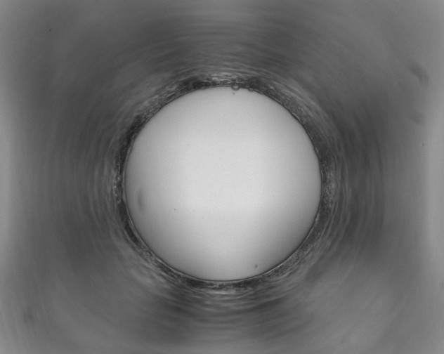 X0000111210653200907011052