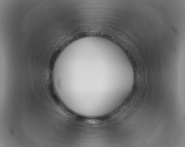 X0000111210654200907011052