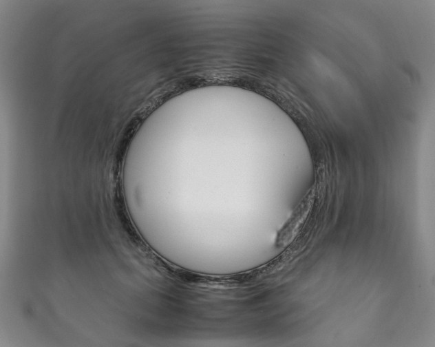 X0000111210655200907011052