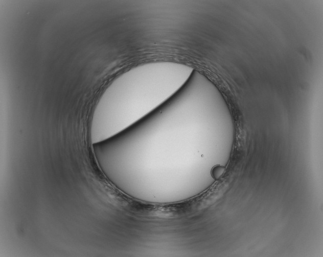 X0000111210656200907011052