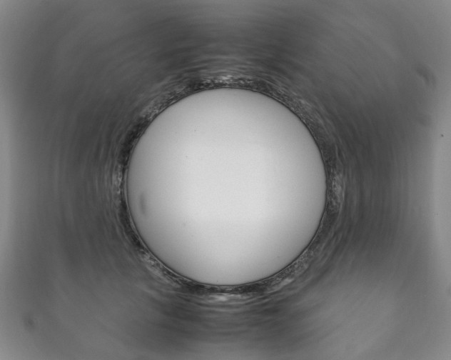 X0000111210657200907011052