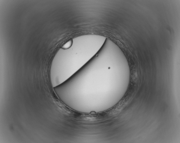 X0000111210658200907011052