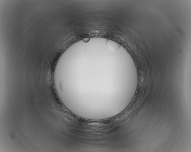 X0000111210659200907011052
