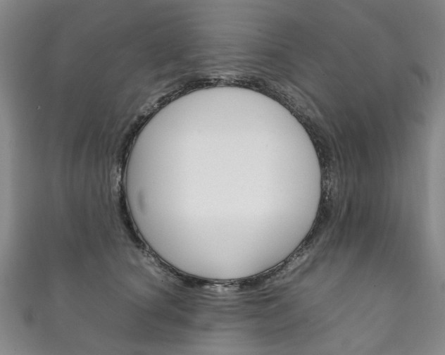 X0000111210660200907011052
