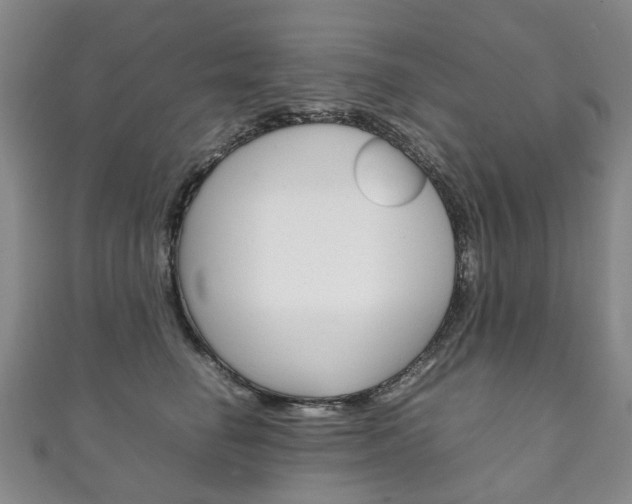 X0000111210662200907011052
