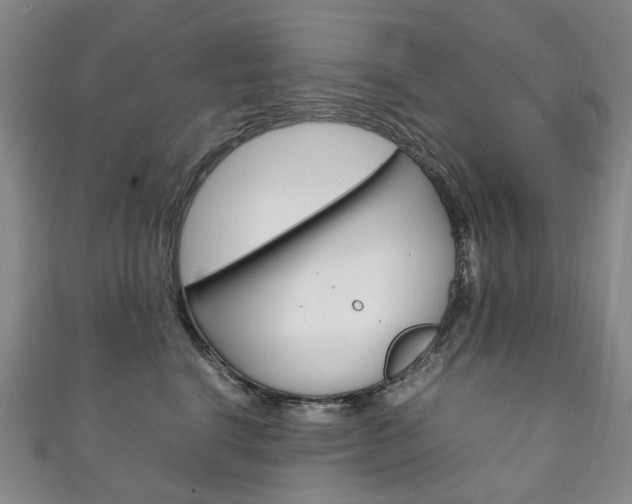 X0000111210664200907011052