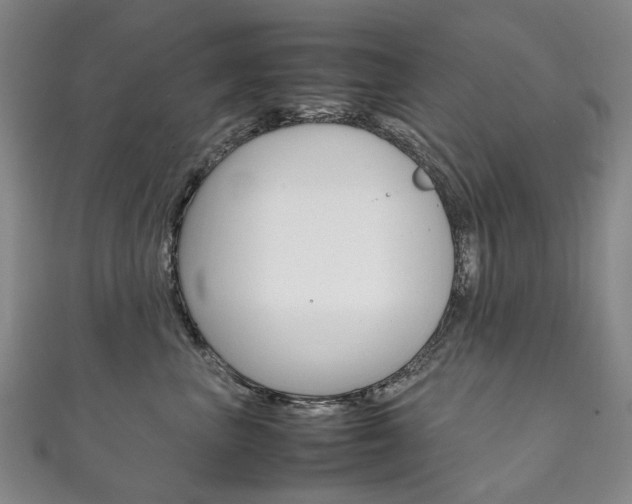 X0000111210667200907011052