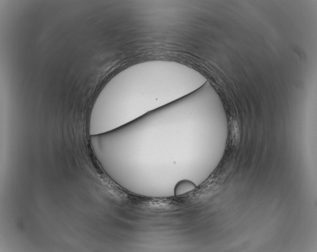 X0000111210668200907011052