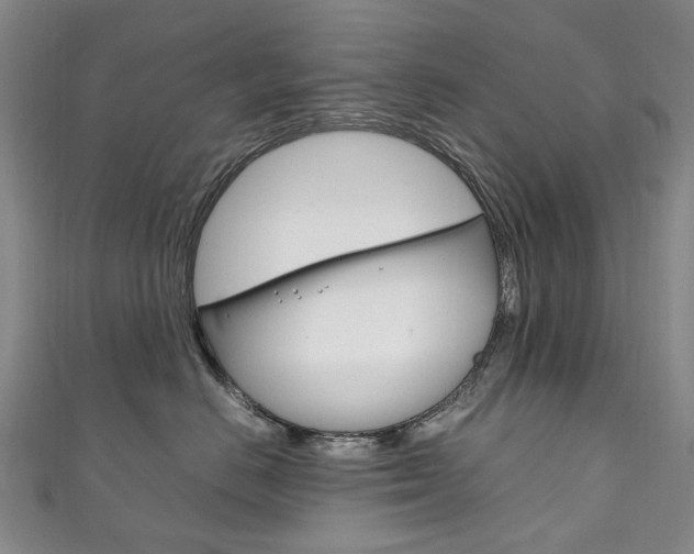 X0000111210670200907011052