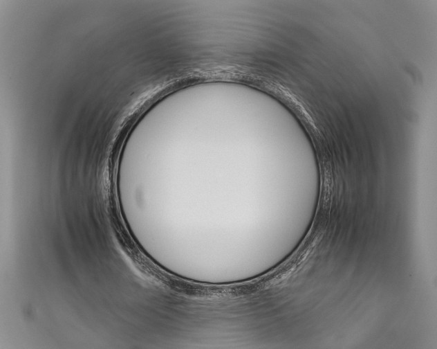 X0000111210674200907011051