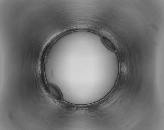 X0000111210676200907011051