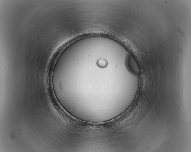 X0000111210680200907011051