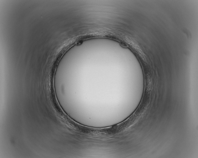 X0000111210681200907011051