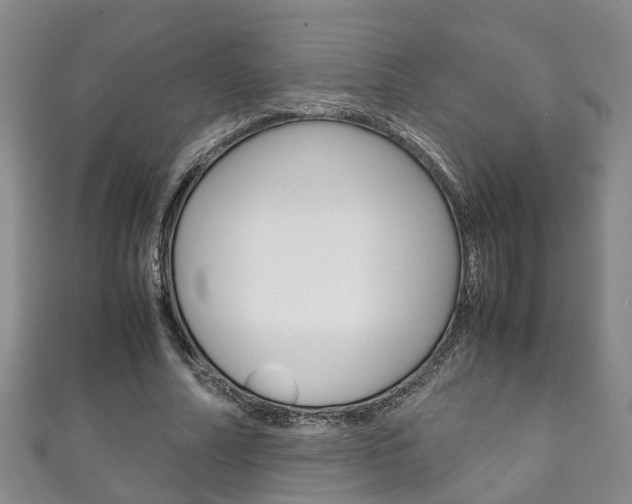 X0000111210682200907011051