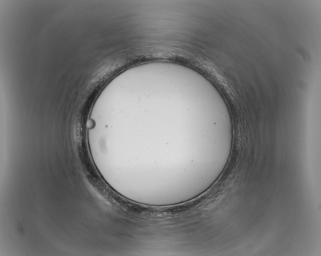 X0000111210683200907011051