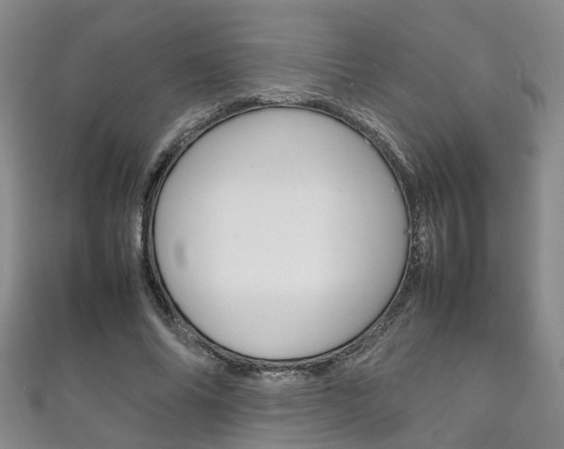 X0000111210686200907011051