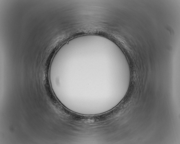 X0000111210687200907011051