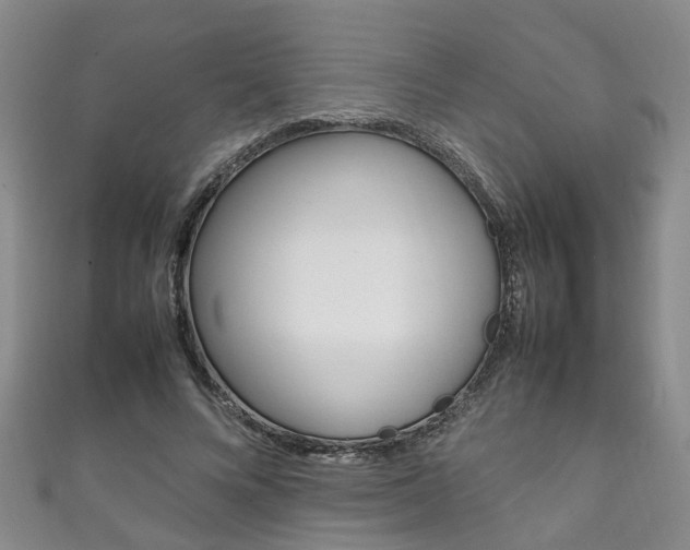 X0000111210688200907011051