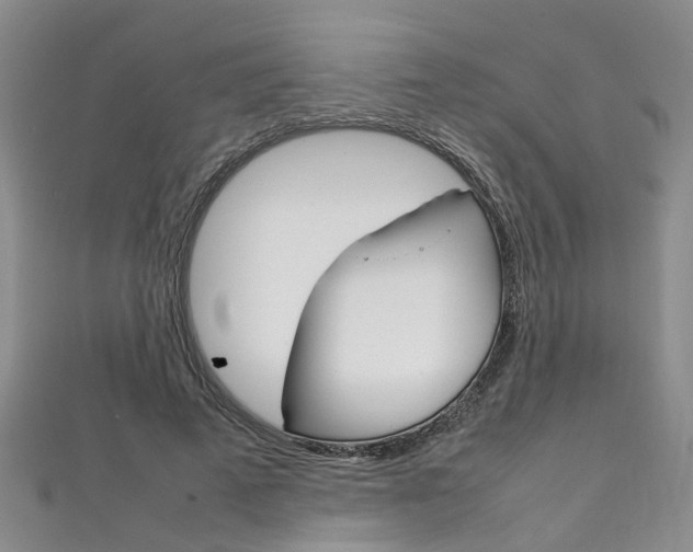 X0000111210689200907011051