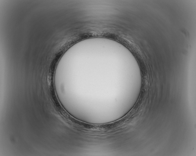 X0000111210691200907011051