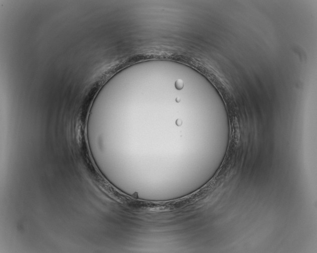 X0000111210692200907011051