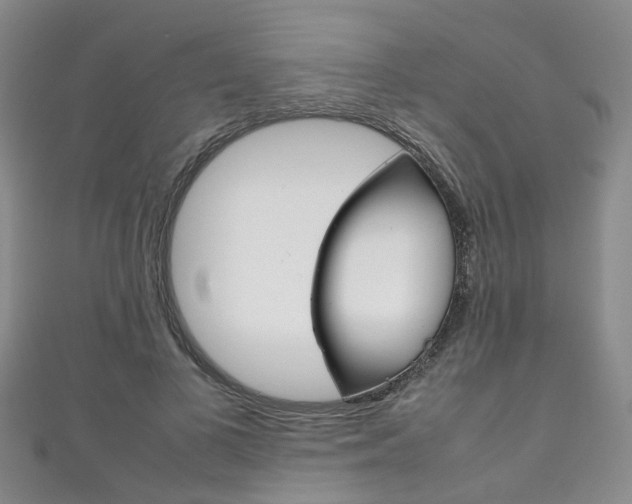 X0000111210693200907011051