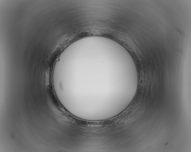 X0000111210694200907011051