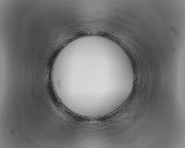 X0000111210695200907011051