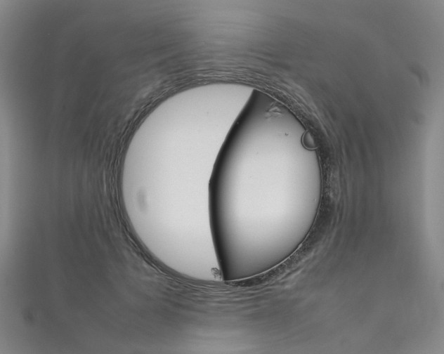 X0000111210697200907011051