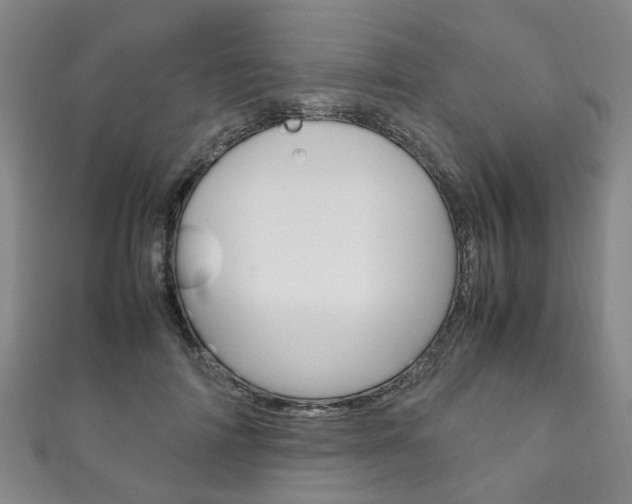 X0000111210698200907011051