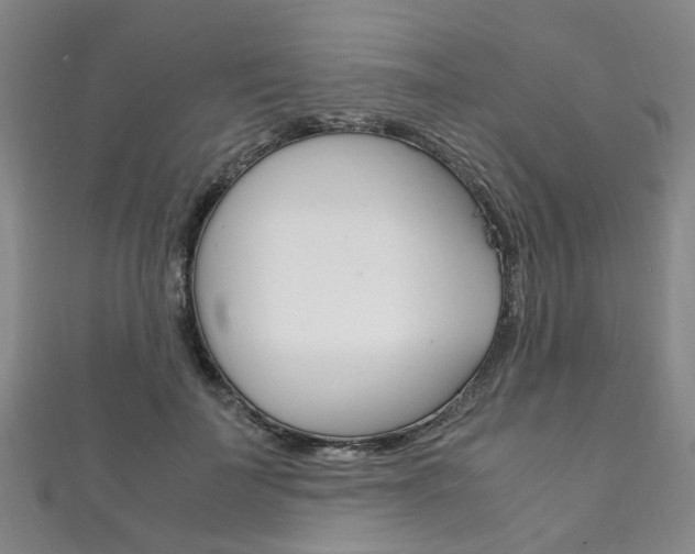 X0000111210699200907011051