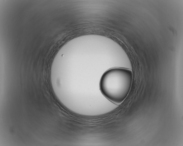 X0000111210701200907011051