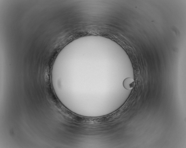 X0000111210702200907011051