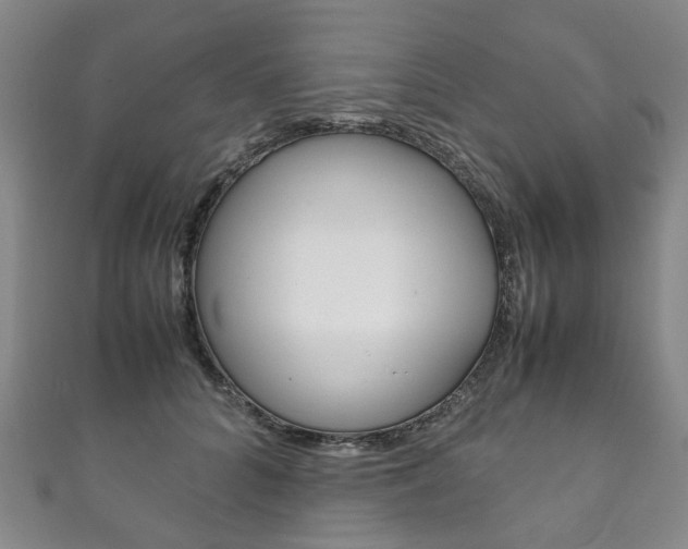 X0000111210704200907011051