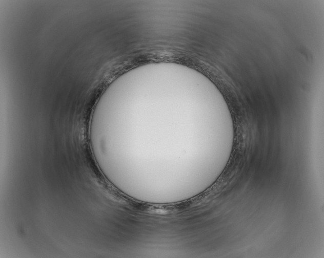 X0000111210706200907011051