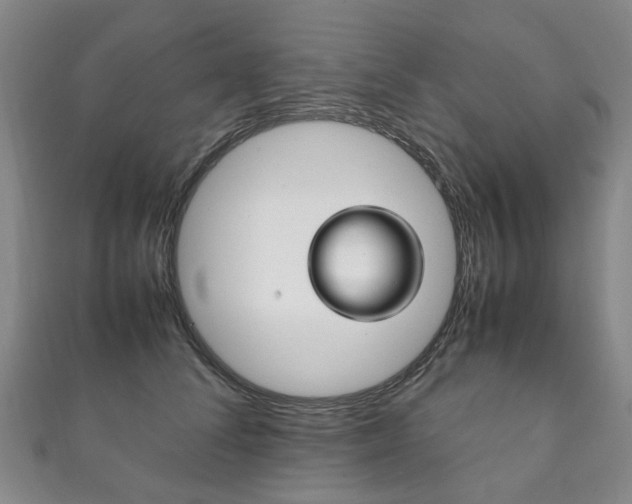 X0000111210708200907011051