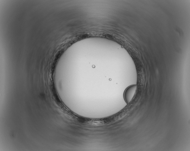 X0000111210711200907011051